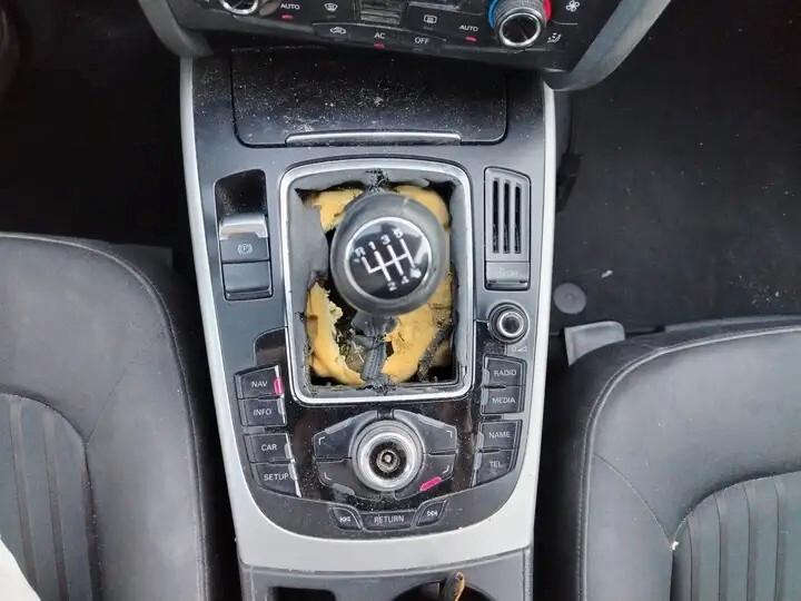 Audi A4 2.0 TDI 120 CV Advanced