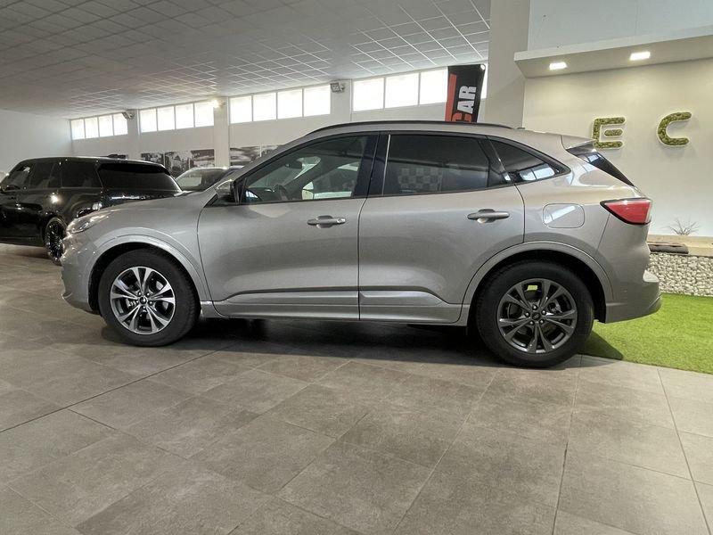 Ford Kuga Kuga 1.5 EcoBlue 120 CV aut. 2WD Titanium Business