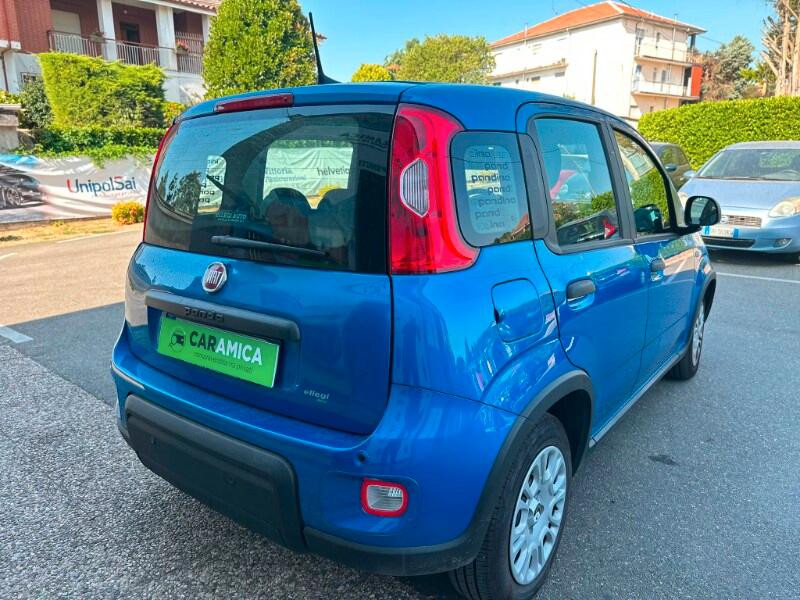 FIAT Panda 3ª serie Panda 1.0 FireFly S&S Hybr...