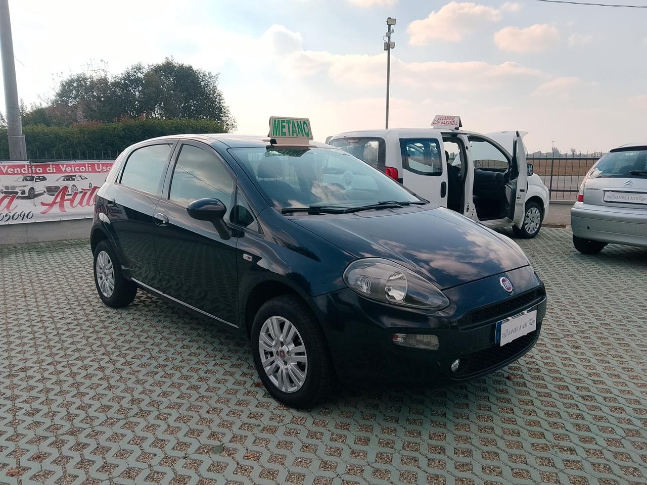 Fiat Punto 1.4 8V 5 porte Natural Power Lounge