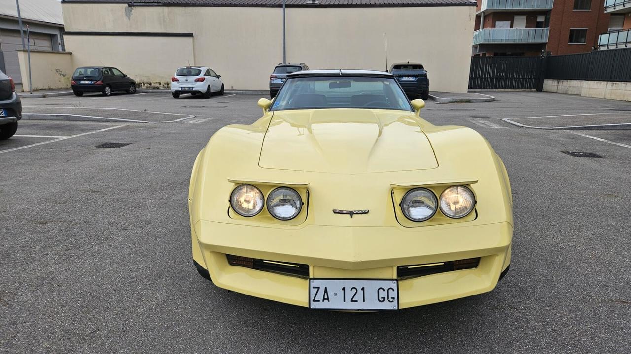 Corvette C3 T-Top