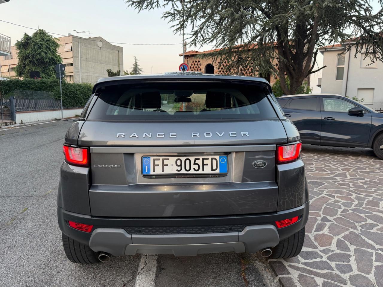 Land Rover Range Evoque 2.0 TD4 150 CV 5p. Pure