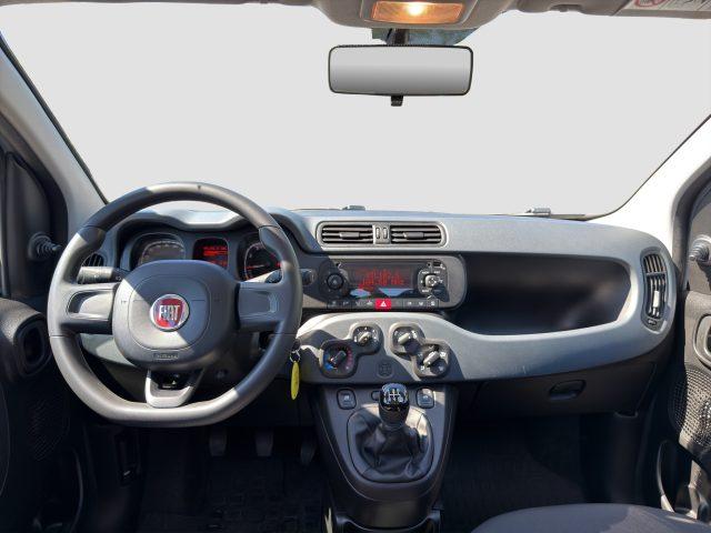 FIAT Panda Panda 1.2 69cv E6 POP