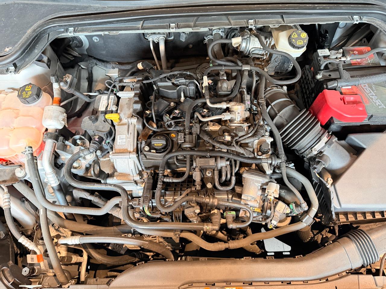 Ford Focus 1.0 EcoBoost Hybrid 125 CV SW Business