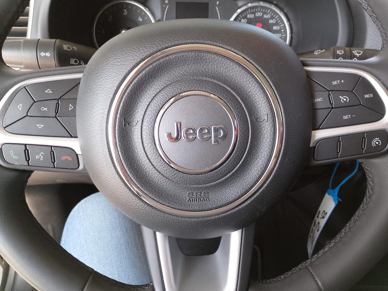 Jeep Renegade 1.6 Mjt 120 CV Longitude