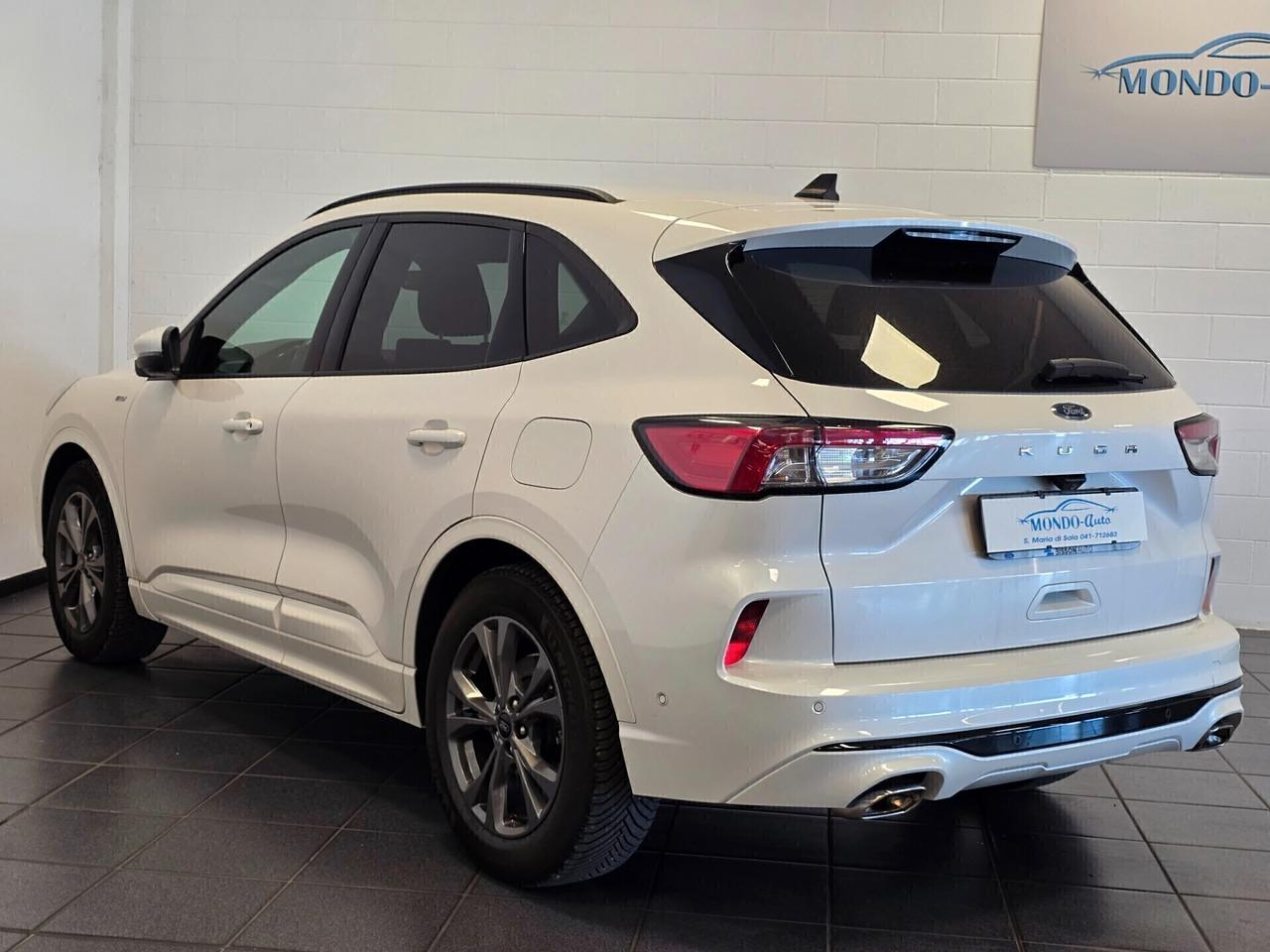 Ford Kuga 1.5 EcoBlue 120 CV aut. 2WD ST-Line X