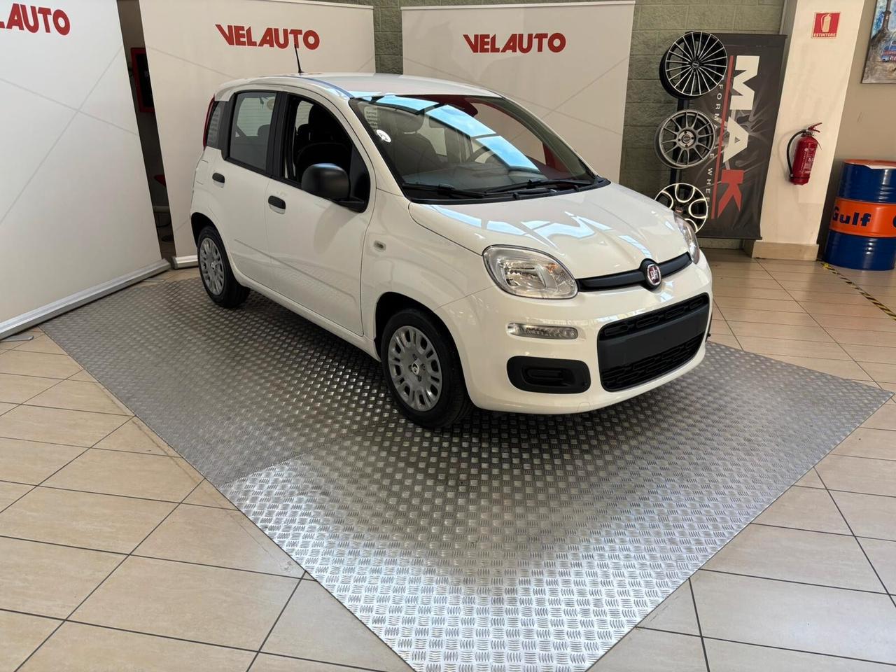 Fiat Panda Fiat Panda 1.0 FireFly S&S Hybrid