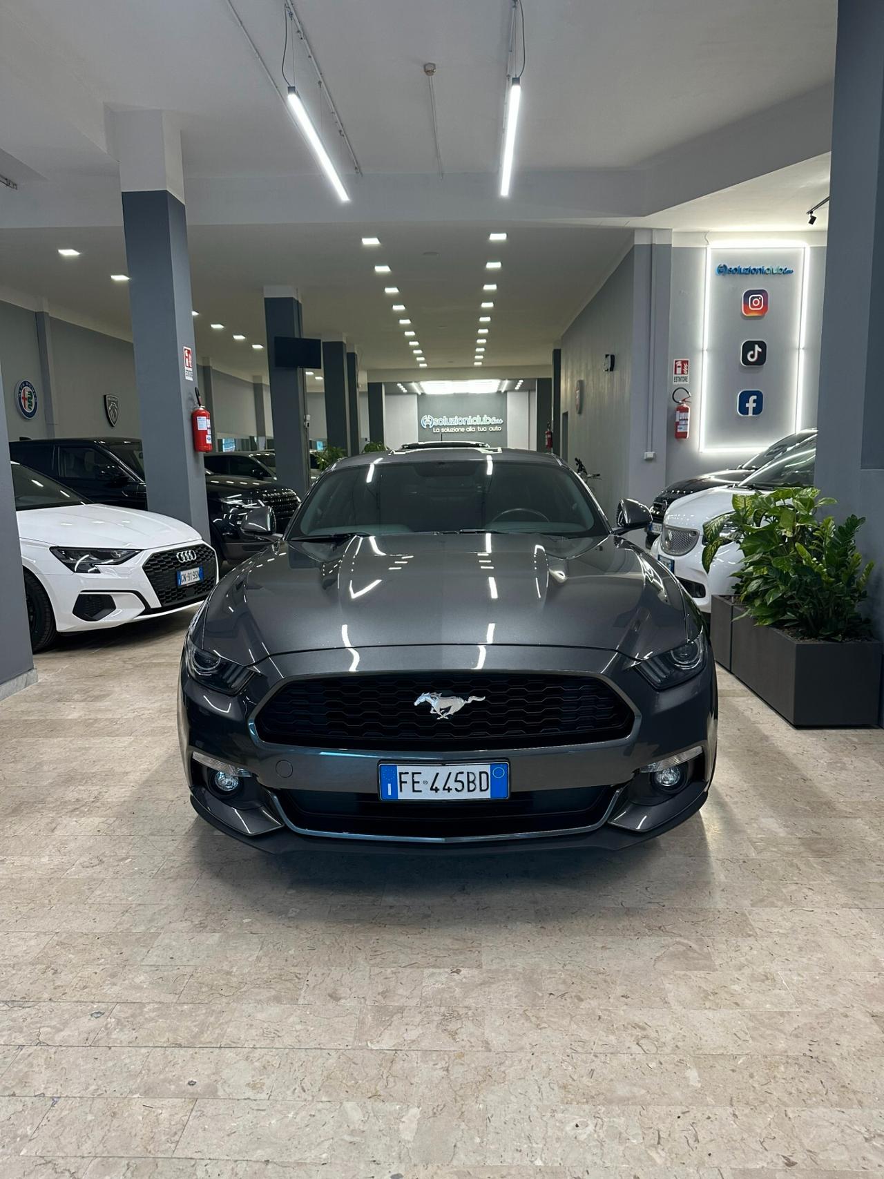 Mustang MUSTUNG