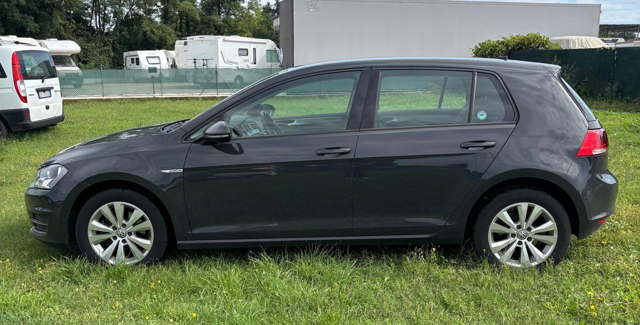 Volkswagen Golf 1.4 TGI 5p. Highline BlueMotion