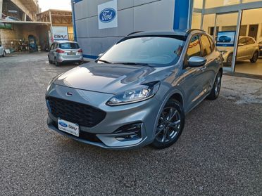Ford Kuga 1.5 EcoBlue 120 CV aut. 2WD ST-Line