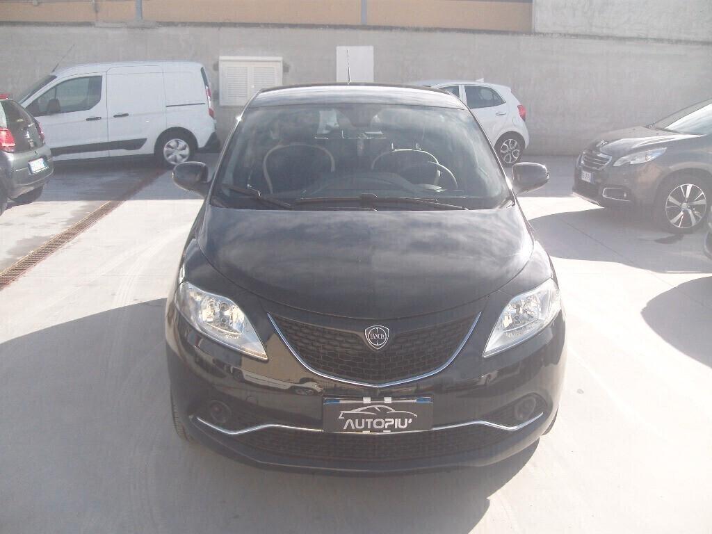 Lancia Ypsilon 1.2 69 CV Gold - 2016