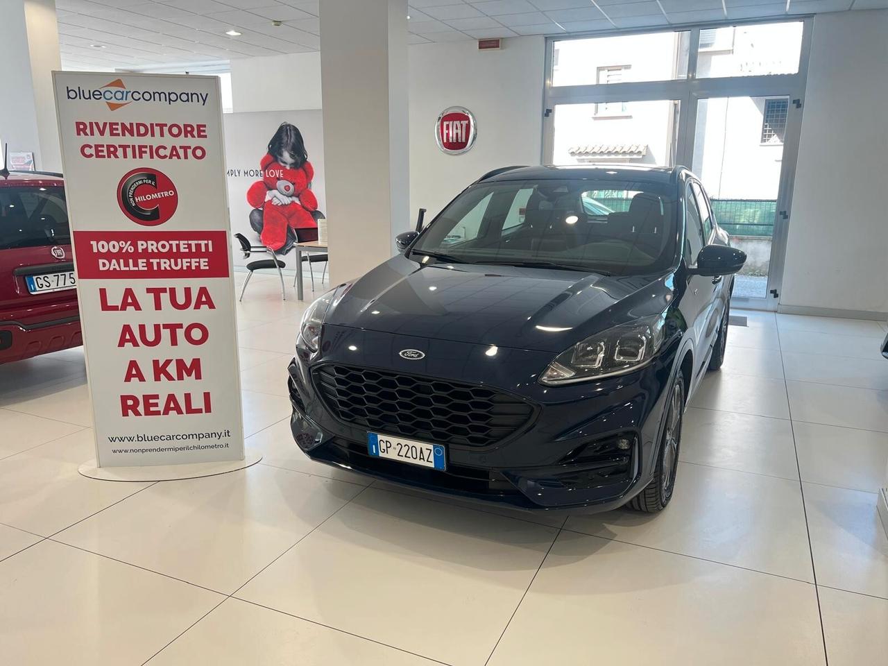 Ford Kuga 2.0 EcoBlue 120 CV aut. 2WD ST-Line