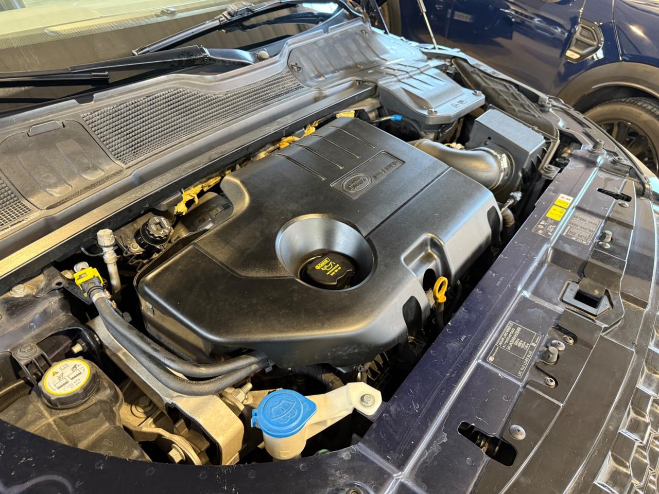 Land Rover Range Evoque 2.0 TD4 150 CV 5p. HSE Dynamic