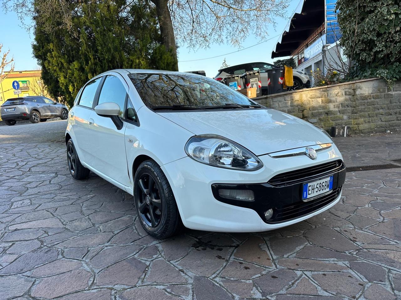 Fiat Punto Evo 1.4 5 porte Dynamic EasyPower