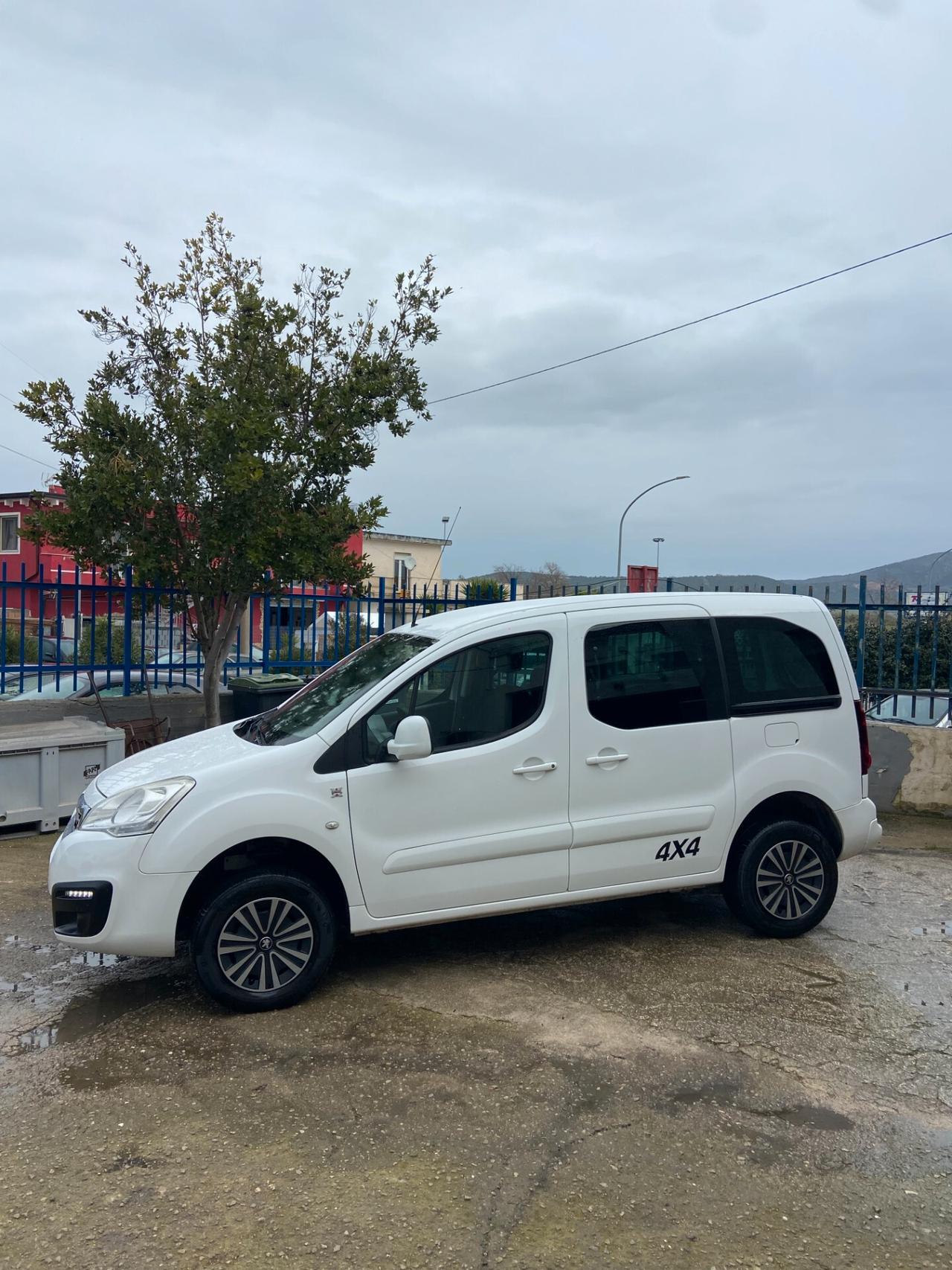 Peugeot Partner hdi 100 cv 4x4 DANGEL OUTDOOR