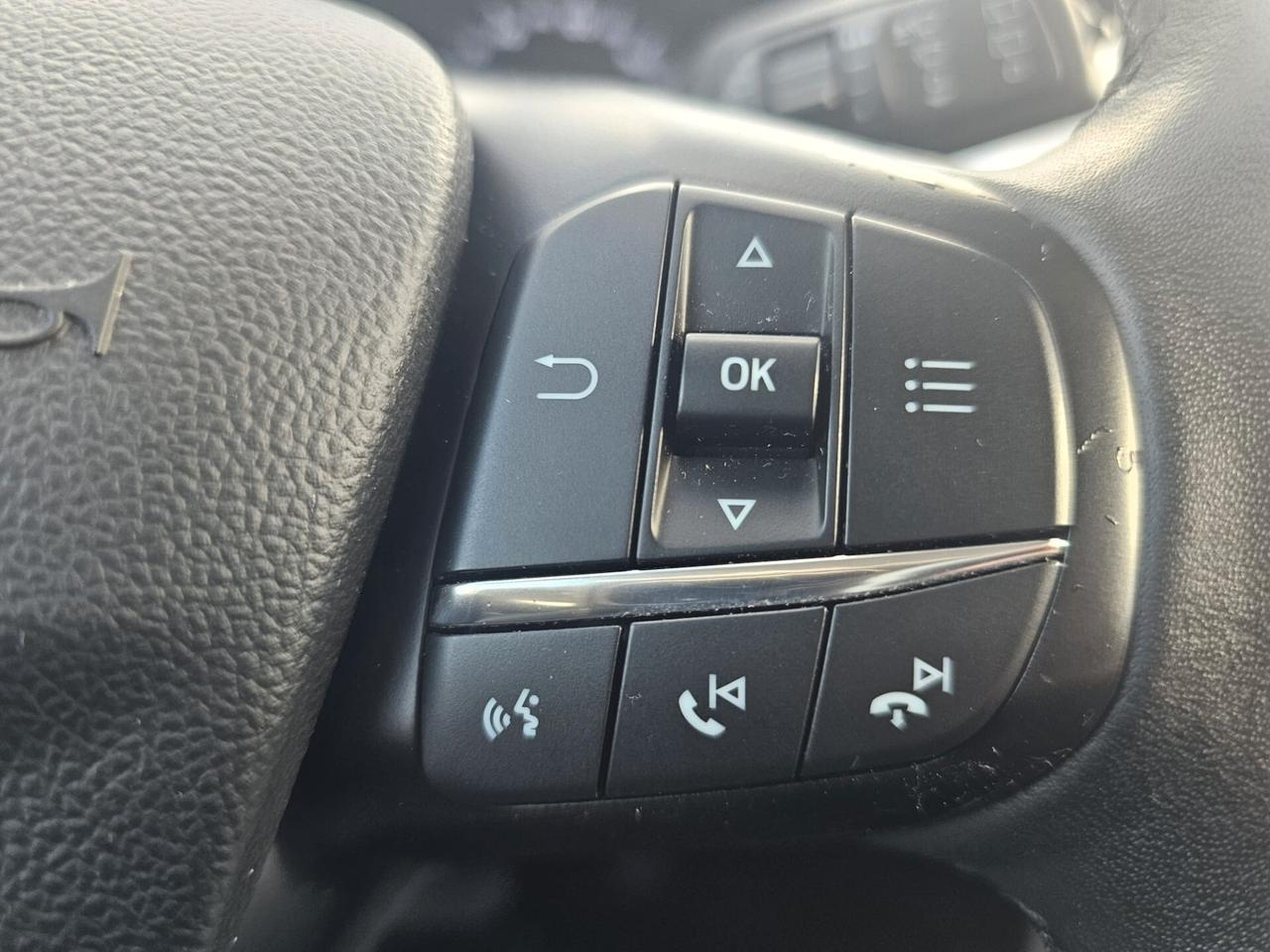 Ford Focus 1.5 EcoBlue 120 CV automatico SW Business Co-Pilot