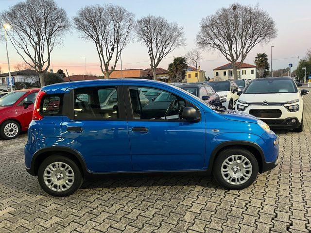 FIAT Panda 1.0 FireFly S&S Hybrid #Nuovo.Modello