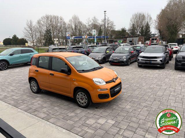 FIAT Panda 1.2 Easy ANCHE PER NEOPATENTATI