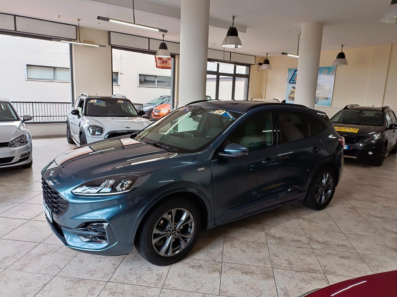 Ford Kuga 1.5 EcoBlue 120 CV 2WD ST-Line