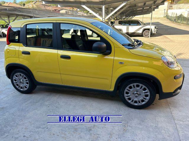 FIAT Panda PROMO FINANZ.PANDINA 1.0 Hybrid KM 0