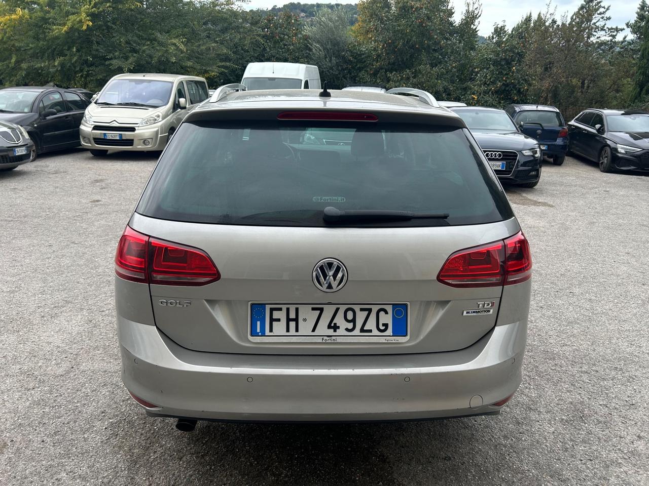 Volkswagen Golf Variant 1.6 TDI 110 CV DSG