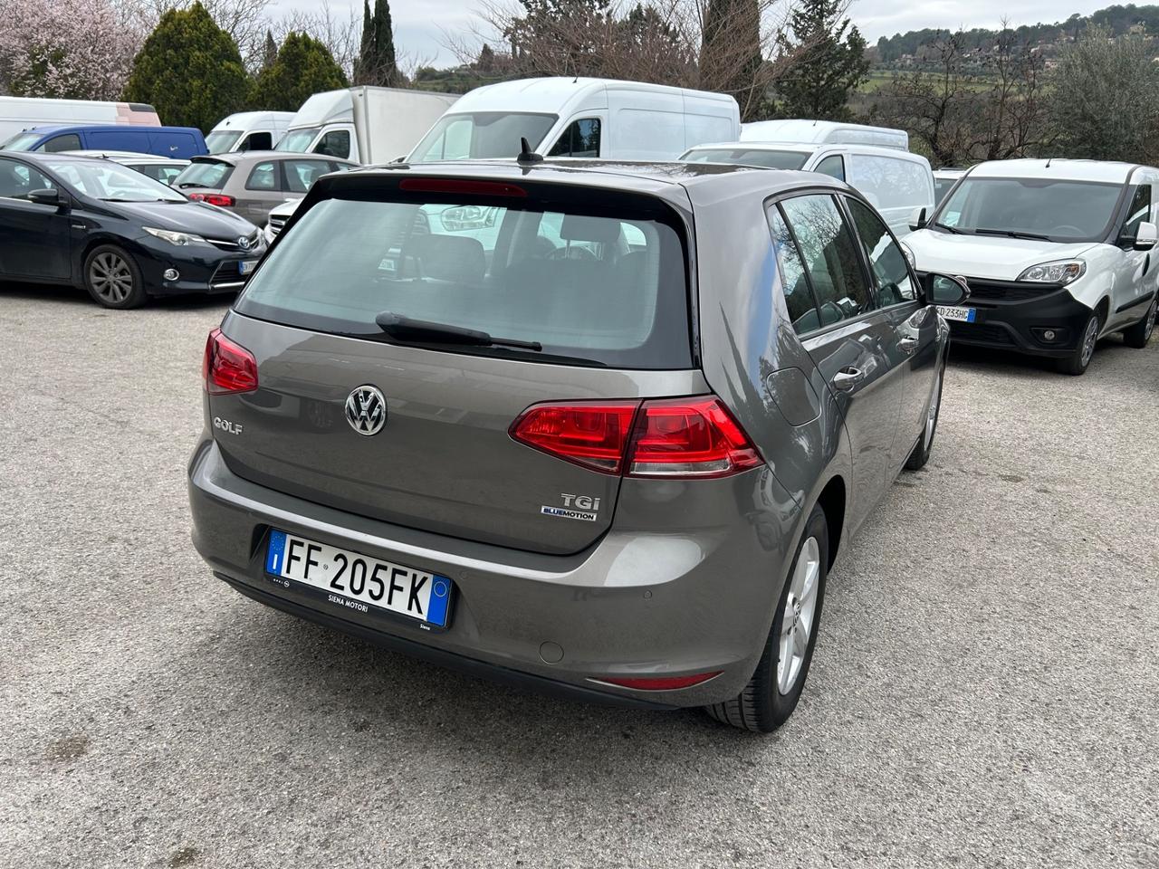 Volkswagen Golf 1.4 TGI 5p. Executive BlueMotion