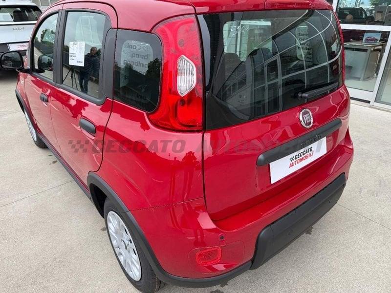 FIAT Panda 1.0 70cv Hybrid Panda