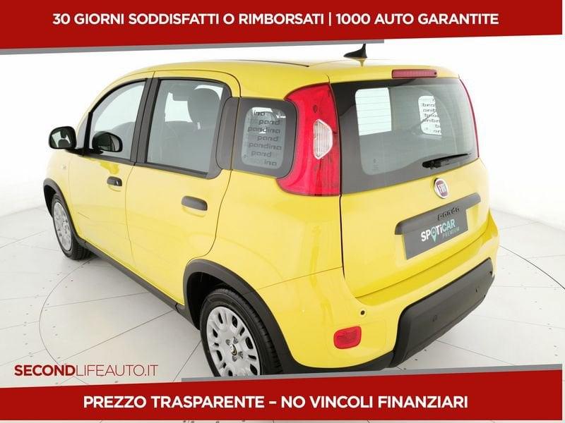 FIAT Panda Serie 7 2024 1.0 70cv Hybrid