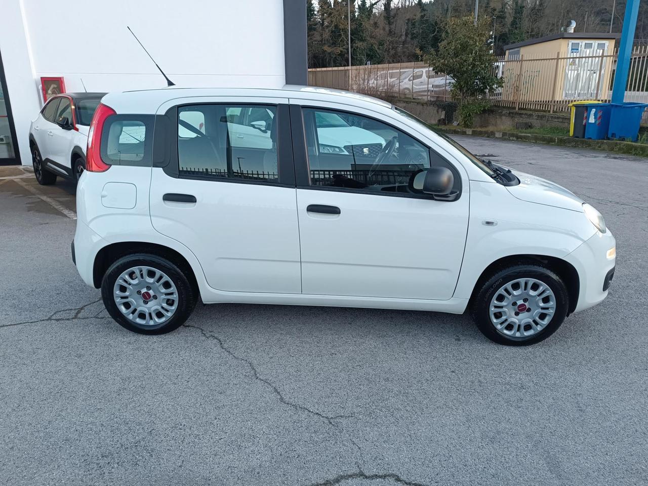 Fiat Panda 1.2 easypower Gpl s&s 69cv
