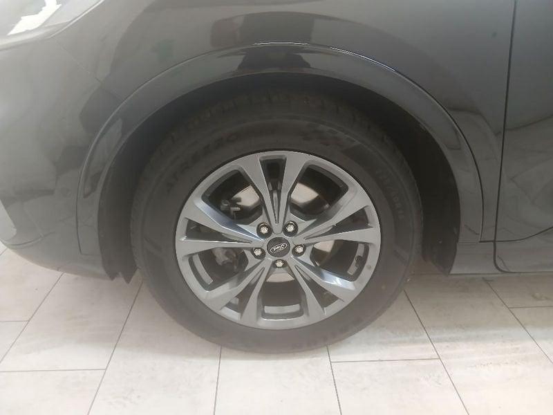 Ford Kuga 2.0 ecoblue ST-Line X awd 120cv auto