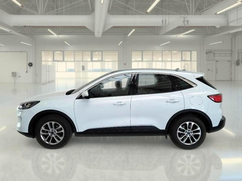 Ford Kuga 1.5 EcoBlue 120 CV aut. 2WD Titanium Business