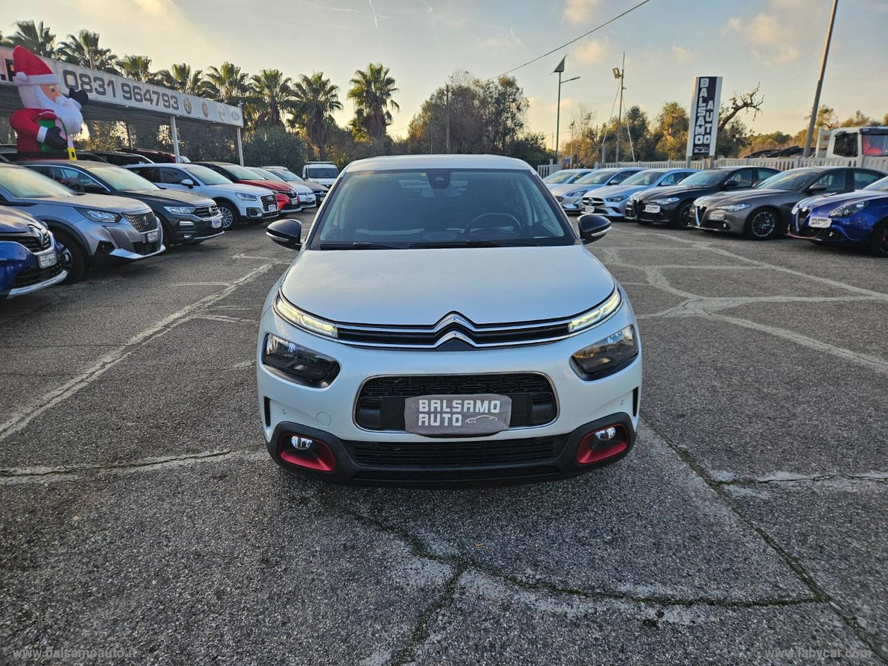 CITROEN C4 Cactus BlueHDi 100 S&S Shine N1