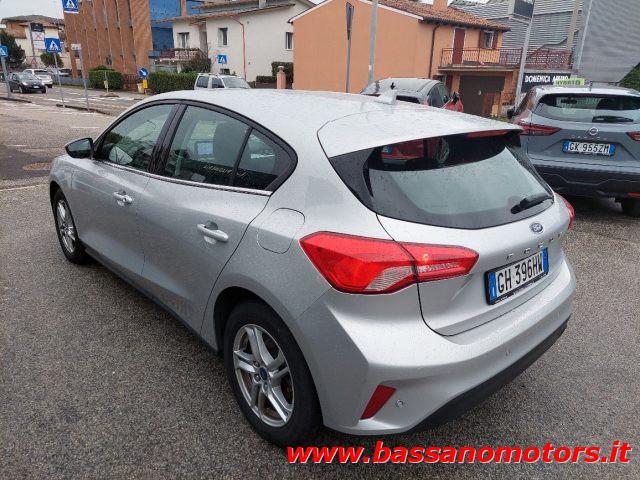 FORD Focus 1.5 EcoBlue 120 CV 5p. Business