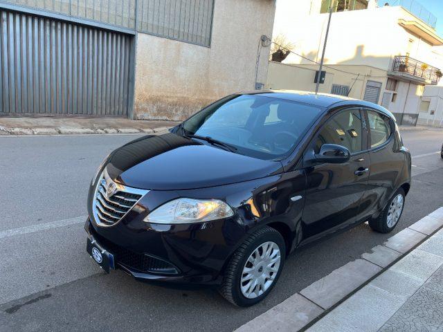 LANCIA Ypsilon 1.2 69CV 5 porte Elefantino