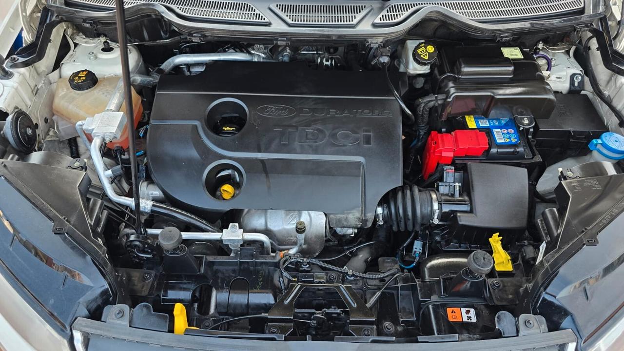 Ford EcoSport 1.5 TDCi 95 CV Plus