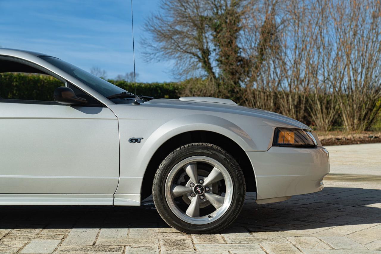 Ford Mustang GT V8 SRS - RDS01942