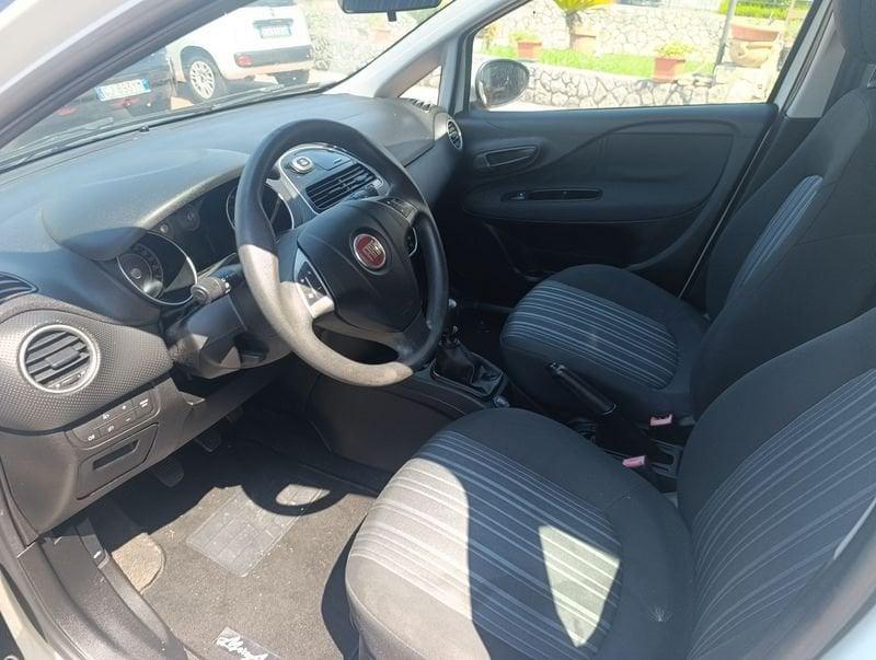 FIAT Punto Evo Punto Evo 1.2 5 porte Active