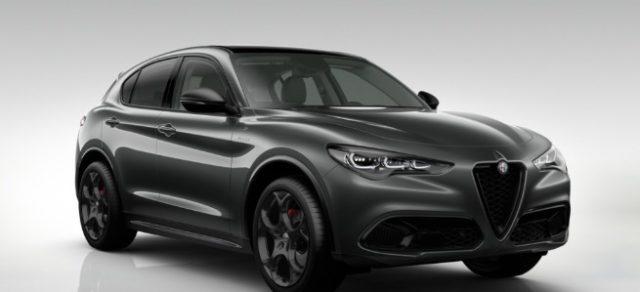 ALFA ROMEO Stelvio 2.2 Td 210 CV AT8 Q4 Veloce Tetto Pan. Cerchi21