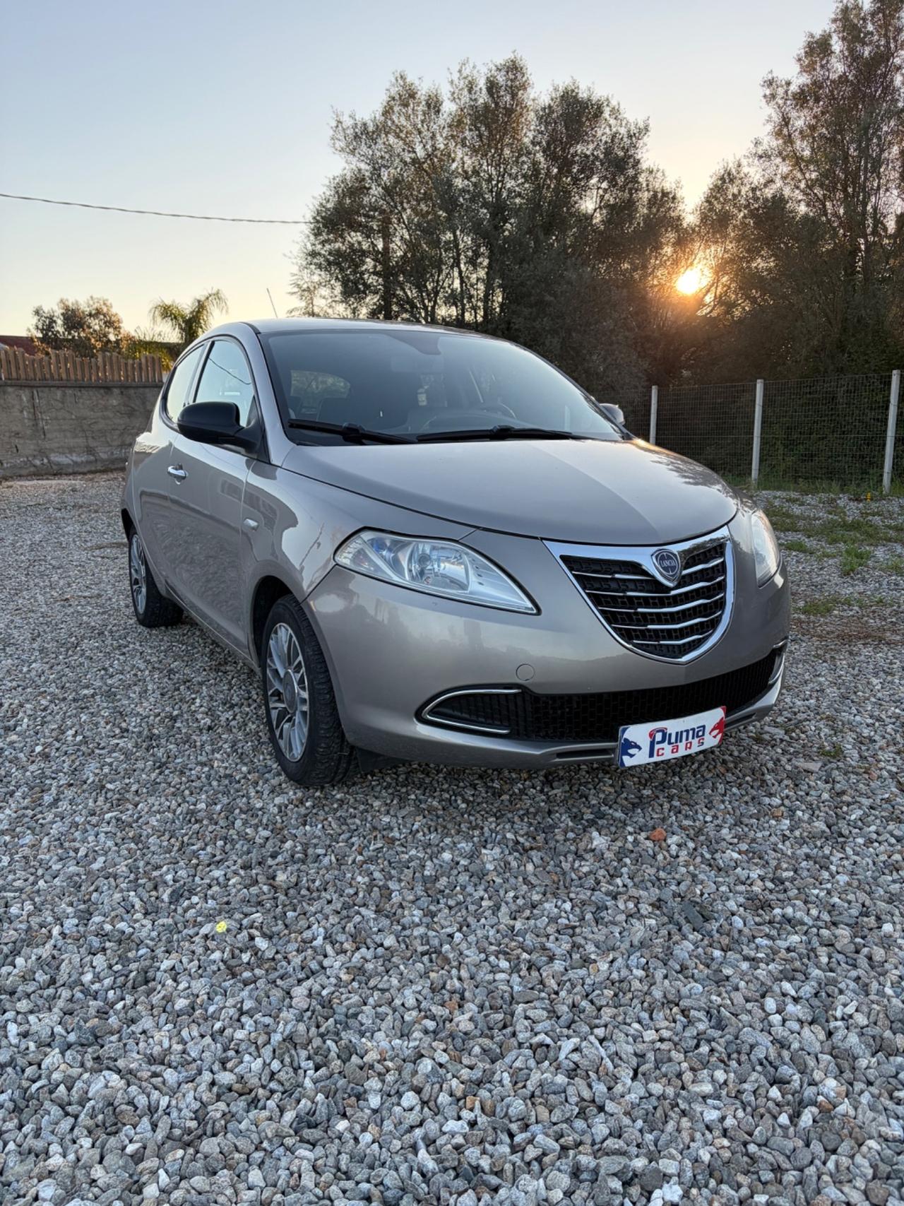 Lancia Ypsilon 0.9 TwinAir 85 CV 5 porte S&S DFN Platinum