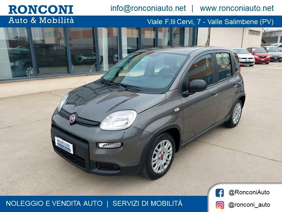 FIAT Panda 1.0 FireFly S&S Hybrid 5 posti - 2023