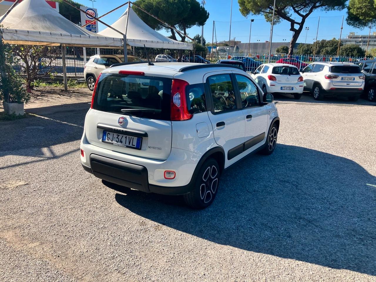 FIAT PANDA 1.0 70cv S&S Hybrid City Life