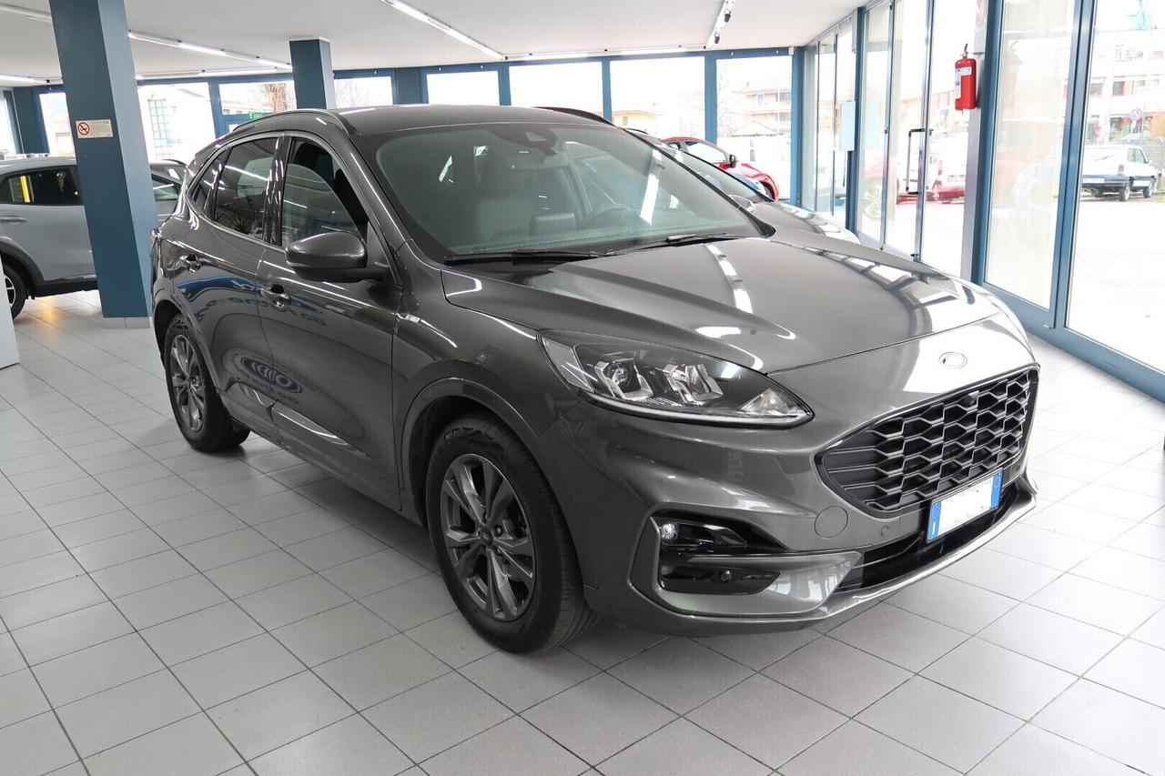 Ford Kuga 2.0 EcoBlue 120 CV aut. ST-Line