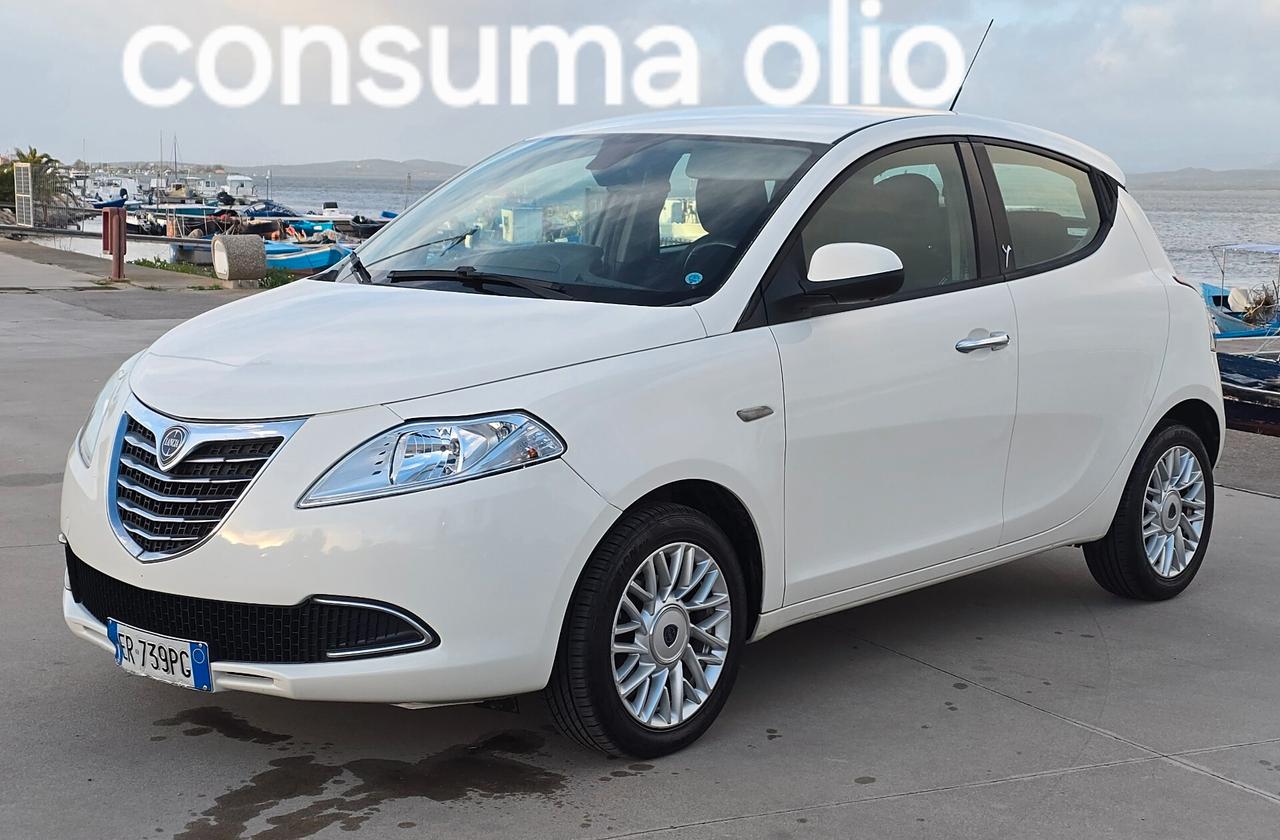 Lancia Ypsilon 1.3 MJT 16V 95 CV 5 porte S&S Platinum