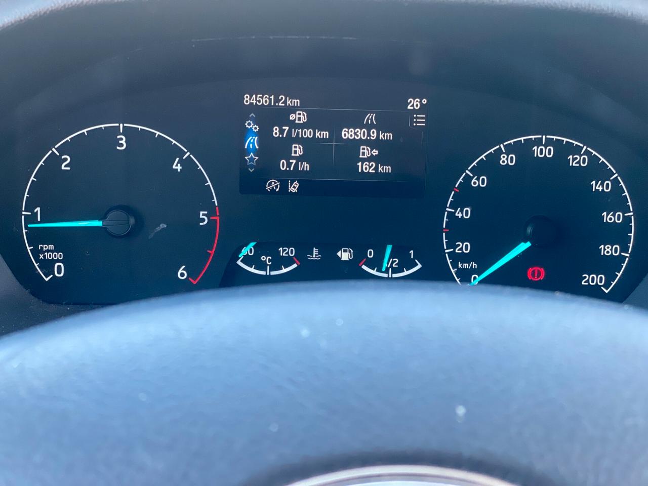 Ford Transit 290 2.0TDCi EcoBlue PM-TM Furgone Trend