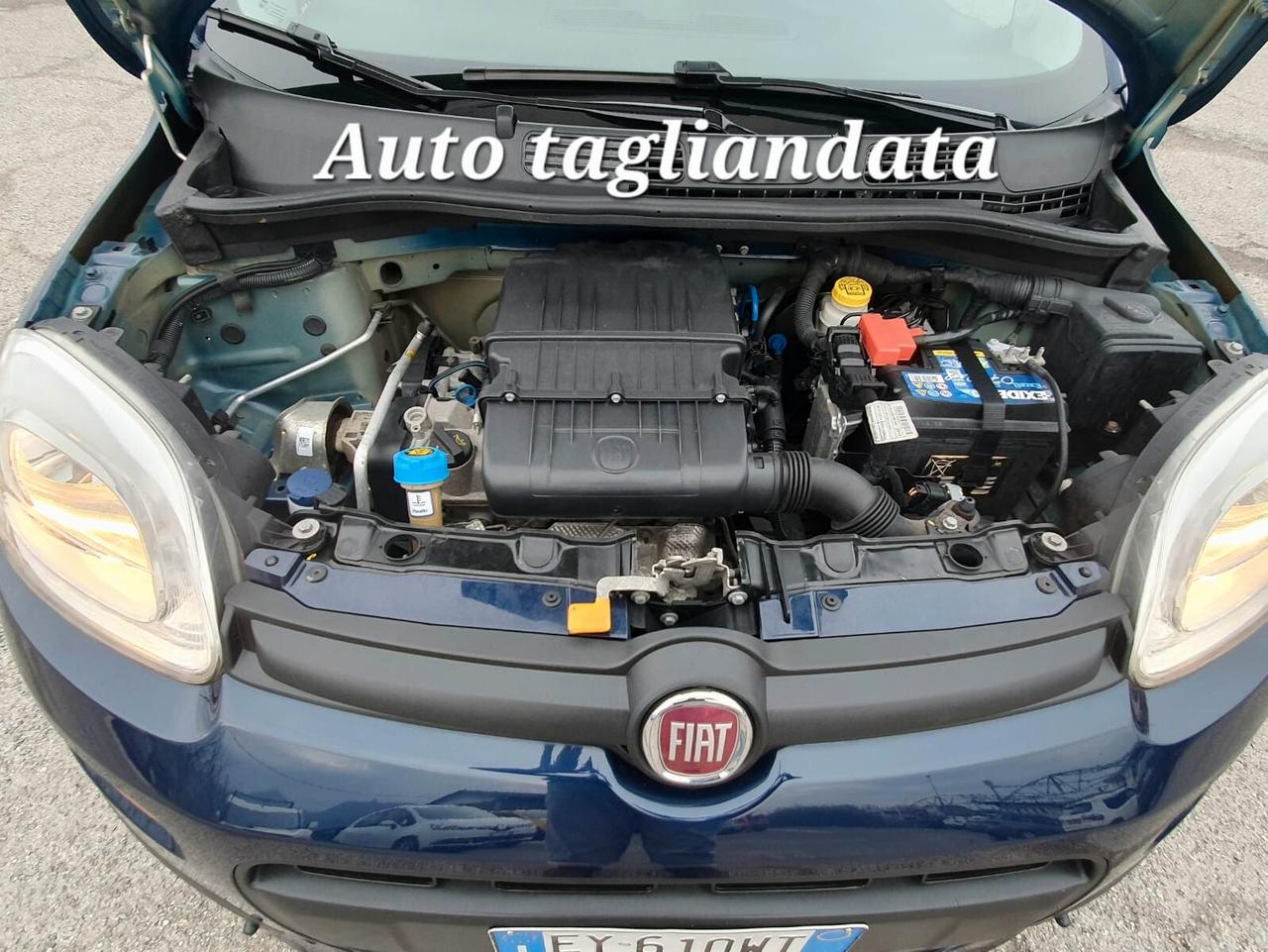 Fiat Panda 1.2 Lounge