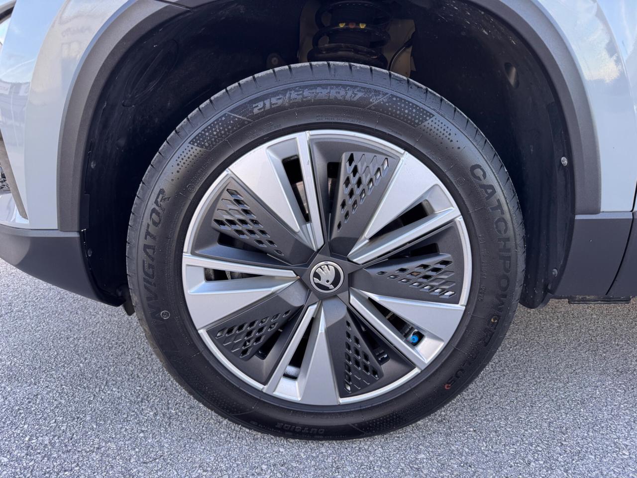 Skoda Karoq 2.0 TDI SCR 115 CV Executive DSG