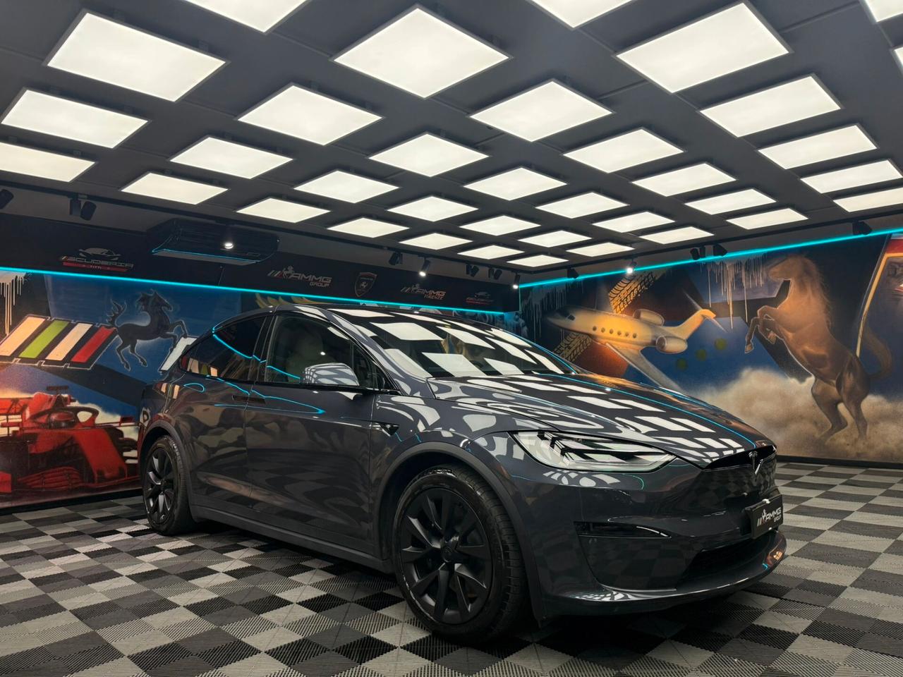 Tesla Model X LONG RANGE (734)