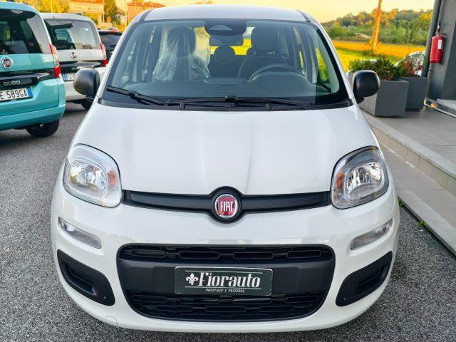 FIAT Panda 1.0 Hybrid KM ZERO+pack city e 5°posto