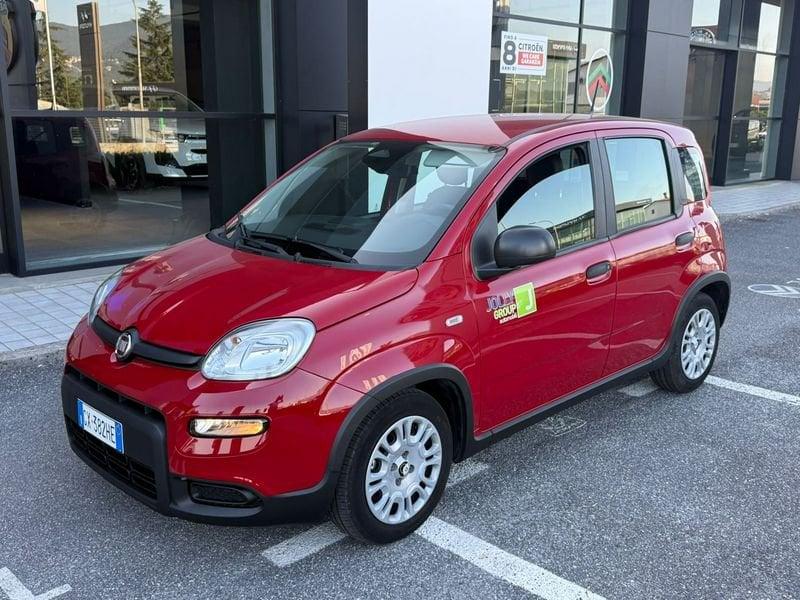 FIAT Panda NEW 1.0 70cv Hybrid PANDA