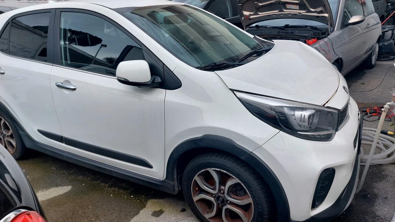 Kia Picanto 1.0 12V 5 porte X line - 2019 ( PICCHIATA)